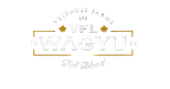 Vflwagyu - Home